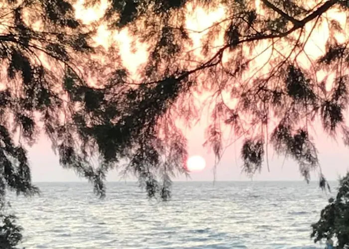 Savastoula * Φάνες